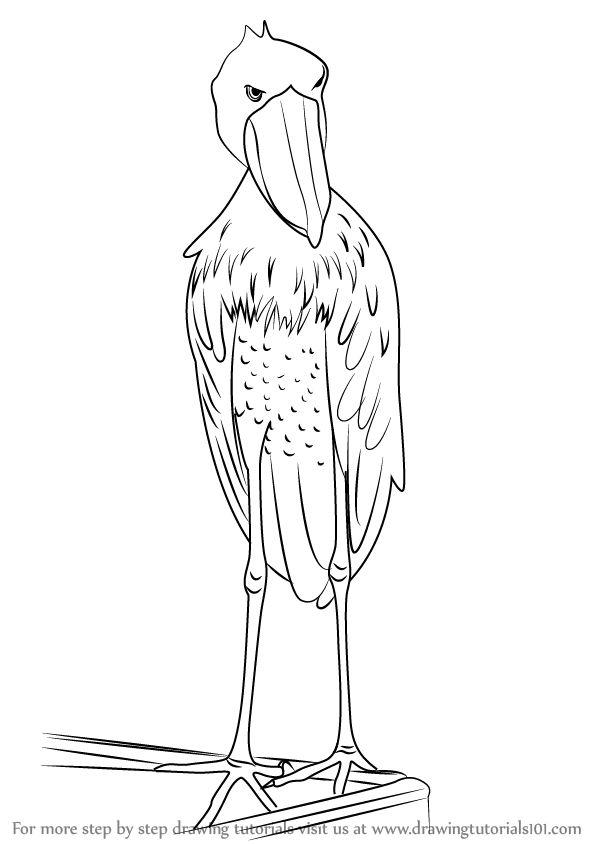 Adult Shoebill Stork Halloween Costume