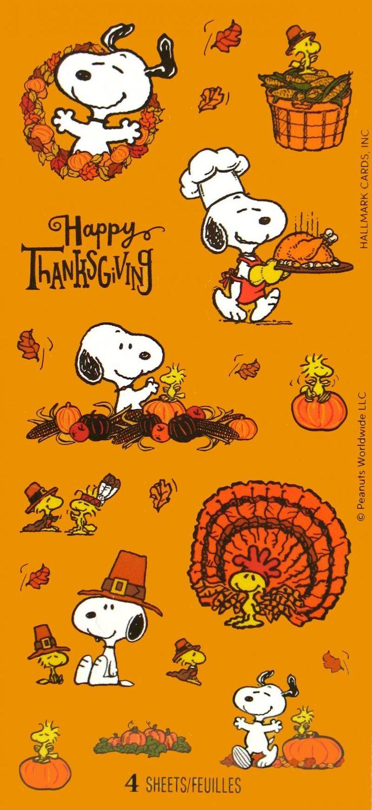 visual representation of Charlie Brown Thanksgiving shirt deals and discounts
