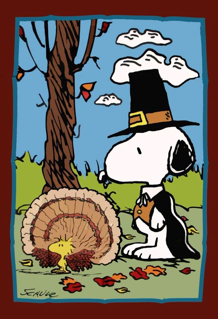 Charlie Brown Thanksgiving Shirt Selection Store