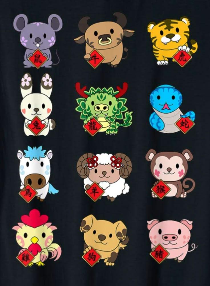Diverse Chinese New Year Rabbit T-Shirt Examples