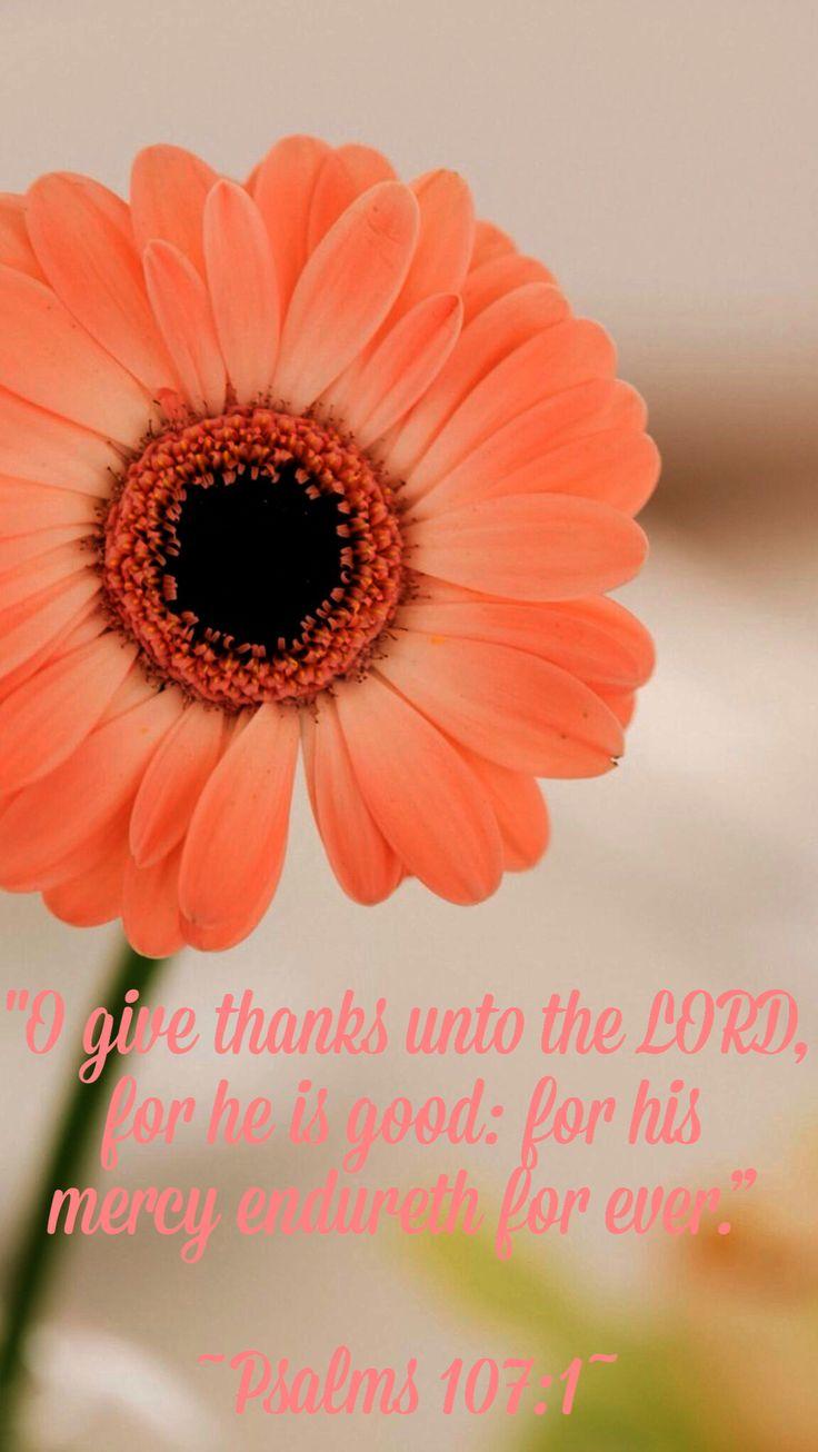 Close Up Thankful Grateful Blessed Thanksgiving Shirt Detail