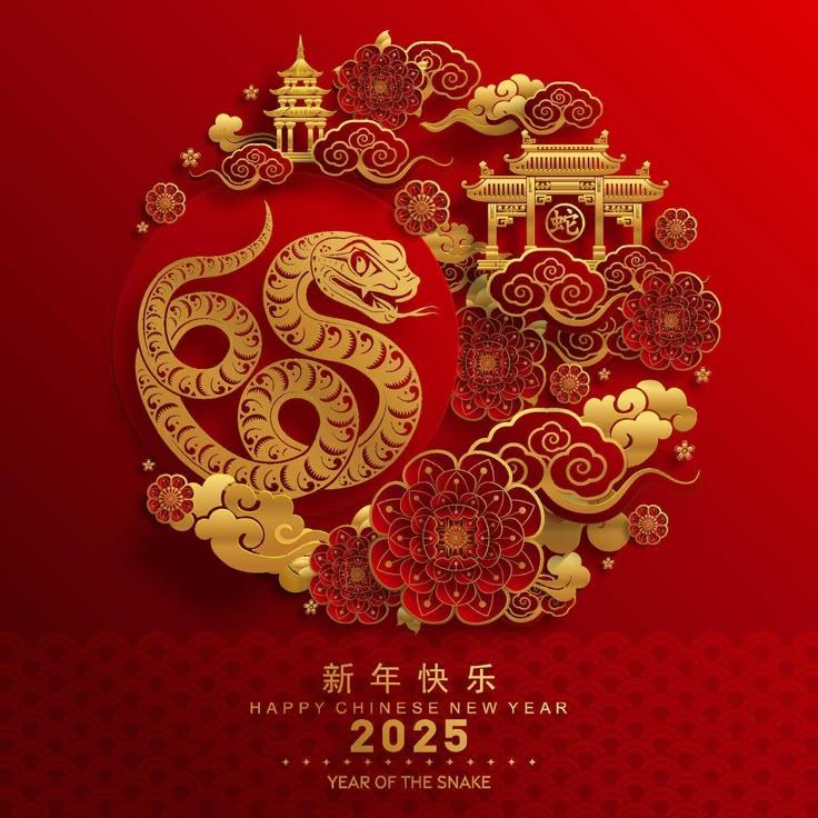 Disney Lunar New Year Shirt Design Elements