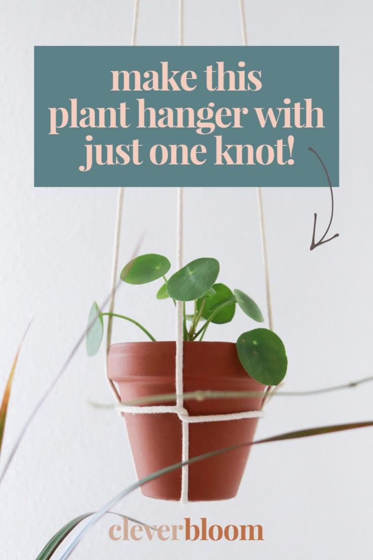 DIY Macrame Plant Hanger with Potted Plant