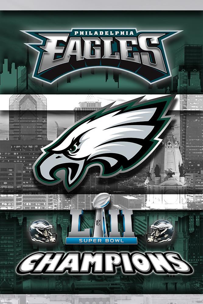 Philadelphia Eagles NFC East Champions Shirt Celebration