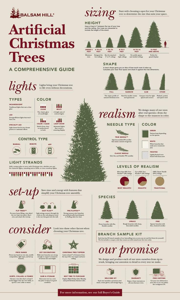 Plus Size Christmas Tee Care Tips