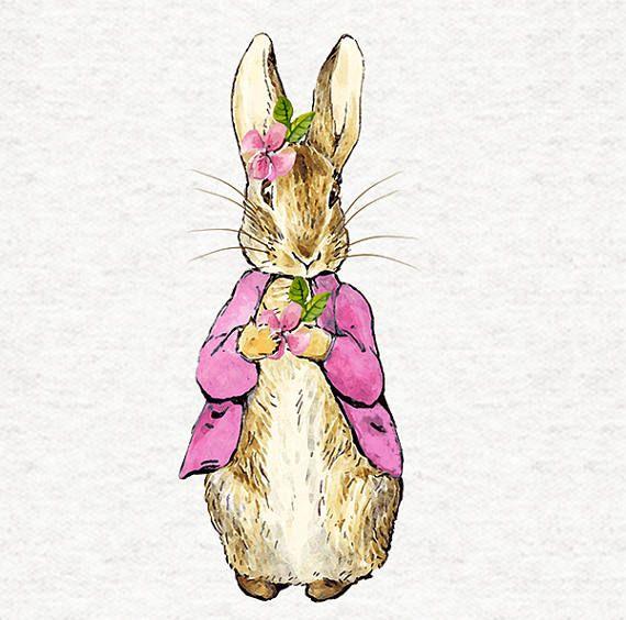 Rabbit Shirt Fabric Options