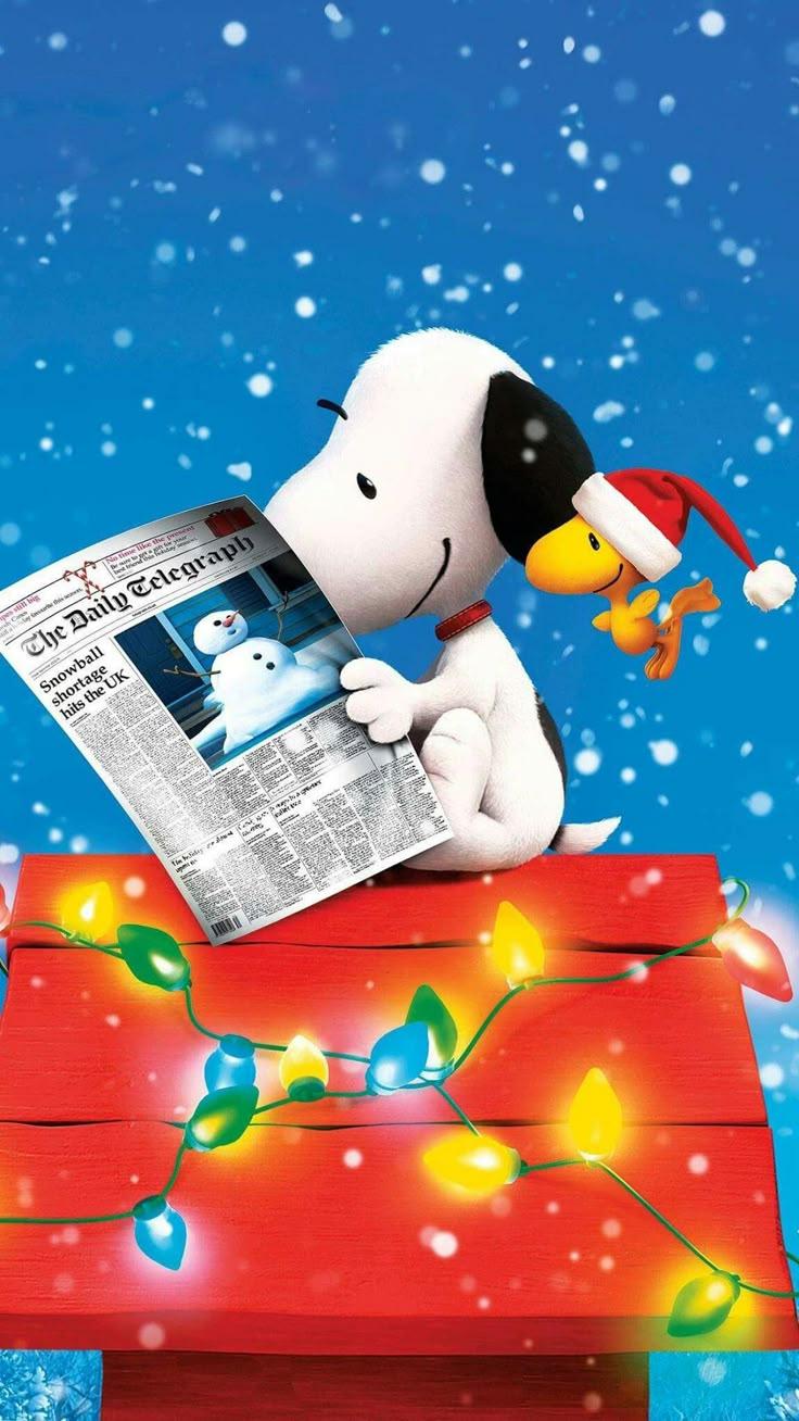 Snoopy flying with Christmas lights