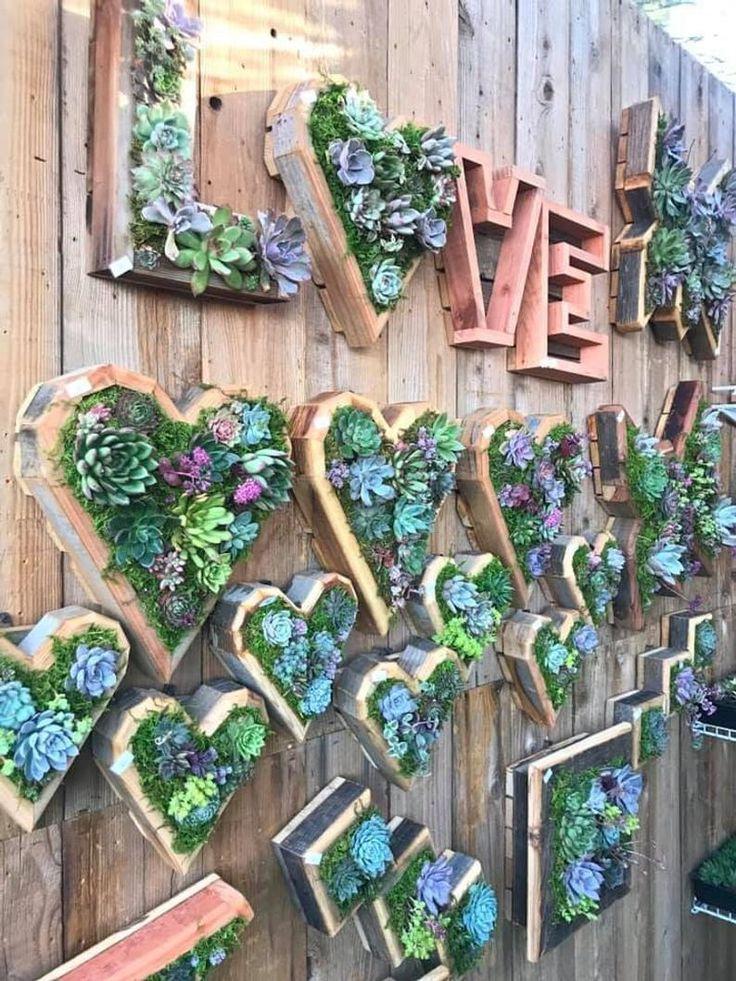 Valentine's Day Succulent Garden Gift for Girlfriend