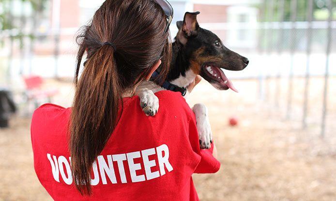 Volunteer Firefighter Wearing Shirt in Community