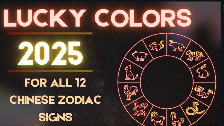 Year of the Rabbit Lucky Colors Shirt