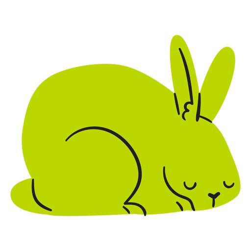 Year of the Rabbit Modern Minimalist Shirt